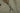 局部拉開拉鍊的 杏色 2合1撥水防風外套 <20621678-12>特寫，露出棕色六角形保暖抓毛內膽。黑色拉鍊拉片突顯其都會休閒風格。.