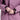 Close-up of a person wearing a purple jacket with black accents.