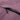 Close-up of a purple jacket with a black zipper