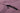 Close-up of a purple jacket with a black zipper